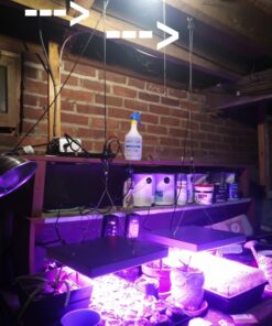 Apollo Horticulture Pair of 1/8" Adjustable Grow Light Rope Hanger w/ Improved Metal Internal Gears Pair of 1/8" 20 71QqItjuLWL