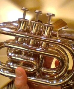 Mendini MPT Brass Bb Pocket Trumpet + Tuner, Case, Mouthpiece, & More (Nickel Plated) Nickel Plated 29 71QrnEv5xTL 1