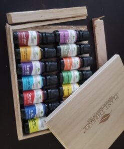 Plant Therapy 7 & 7 Essential Oils Set 7 Single Oils: Lavender, Peppermint & More, 7 Synergy Blends 100% Pure, Undiluted, Natural Aromatherapy, Therapeutic Grade 10 mL (1/3 oz) 7 & 7 Set 0.34 Fl Oz (Pack of 14) 34 71QtXlu4VL