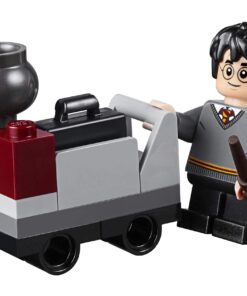 LEGO 30407 - Harry's Journey to Hogwarts Polybag, 6+ years 14 71QuGnNCC6L