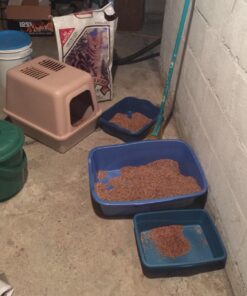 Pureness Giant Cat Litter Pan, Assorted Colors 38 71QveSgSqkL