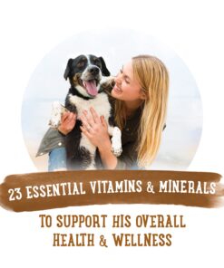 Purina Beneful High Protein, Gravy Wet Dog Food Variety Pack, Prepared Meals Stew - (6) 10 oz. Tubs 6.00 Ounce (Pack of 10) 20 71Qwkz8iGBS