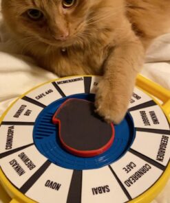 Fisher Price Classics - Farmer Says See 'n Say - Vintage Learning Toy, Sounds and Animals, Interactive Retro Game for Kids, Girls, Boys, Baby, Preschoolers, Toddlers, Unisex Ages 18 Months + 34 71Qx3pkOFhL