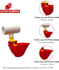 4 Pack NO PECK Poultry Waterer Drinking Cup with 1/2" PVC Tee Poultry Watering System for Chicken Ducks Quail 18 71R1S4hLzbL