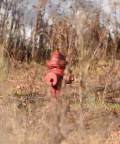 Nikon 200-500mm f/5.6E ED AF-S VR Zoom NIKKOR Lens- Bundle with 95mm Filter Kit, Flex Lens Shade, Cleaning Kit, Cap Leash, Software Package 34 71R2 1V58ZL