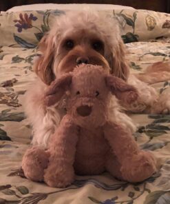 Jellycat Fuddlewuddle Puppy Stuffed Animal, Medium, 9 inches 19 71R3YCxylRL