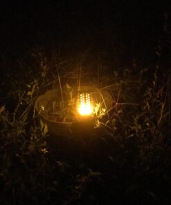 Aityvert Upgraded Larger Solar Torch Lights, Waterproof Outdoor Dancing Flames Lights, Flickering Flames Garden Lights, Landscape Decoration Pathway Patio Lights 43" 96 LED (2 Pack) Pack of 2 31 71R3luenaRL