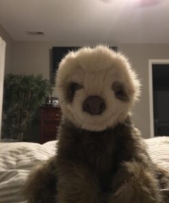 Folkmanis Baby Sloth Hand Puppet Classic 22 71R7pGCF7L