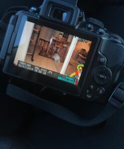 Nikon D5300 24.2 MP CMOS Digital SLR Camera with 18-55mm f/3.5-5.6G ED VR Auto Focus-S DX NIKKOR Zoom Lens (Black) 86 71R8c4PncqL