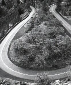 Ilford 1887710 DELTA 3200 Professional, Black and White Print Film, 135 (35 mm), ISO 3200, 36 Exposures 1-Pack 17 71R8k9LrouL