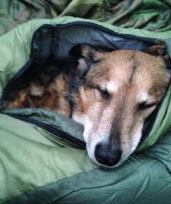 Wenzel Backyard Girls 30-Degree Sleeping Bag Green 12 71R9xZ9P0sL