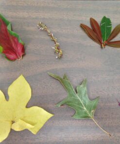 GBC Thermal Laminator Machine, Inspire, 9 Inch, Quick Warm-Up, 3 or 5 Mil, with 5 Standard Laminating Pouches for Home, Office and Classroom, Black (1701857) Frustration-Free Packaging 34 71RBwoiH1qL