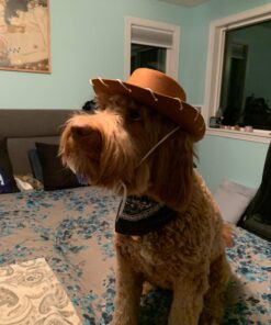 Funny Party Hats Cowboy Hat for Kids- Western Hat - Kids Cowboy Hat -Sheriff Hat - Children's Cowboy Costume Dress Up Brown Cowboy Hat & Navy Bandanna 18 71RDgXbclGL 2