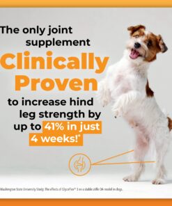 VETRISCIENCE Glycoflex 3 Maximum Strength Hip & Joint Support for Dogs - Glucosamine, DMG, MSM & Green Lipped Mussel - Great Tasting - Vet Recommended, 120 Tablets, (0900887.120) Glycoflex Stage 3 Unflavored 120 Tablets for All Dogs 21 71RFJUBnJoL