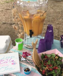 Buddeez Clear Drink 3.5 Gallon Plastic Beverage, Comes with Stand, Spigot, Ice Cone, Large Punch Dispenser for Parties 3.5 Gallon Dispenser 35 71RFbIw3hGL