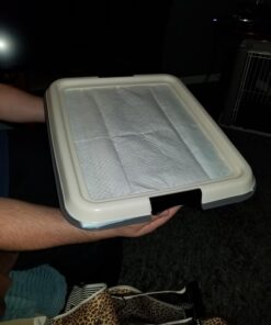 IRIS USA Small Pet Training Pad Holder, Dark Gray 17"x17" 38 71RGVGUbTkL