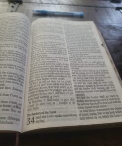 KJV Holy Bible, Giant Print Full-size Faux Leather Red Letter Edition - Thumb Index & Ribbon Marker, King James Version, Purple Floral Leather Bound 37 71RGe5Z7K8L