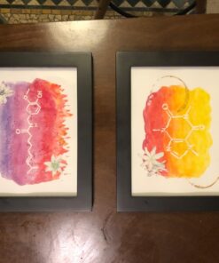 Winsor & Newton Watercolor Medium, Art Masking Fluid, Colourless, 75ml (2.5-oz) bottle 2.5-oz Bottle 24 71RHkWJaVhL 2