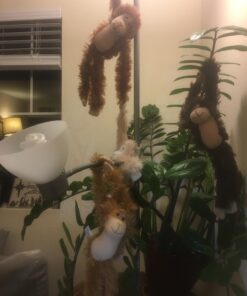 Fuzzy Friends 1 Each Burnt Orange, Blonde, Cream and Dark Brown Fuzzy Friends Plush Monkey with Velcro Hands Furry Stuffed Animal, Set of 4 Multicolored 21 71RHzzBULL