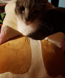 Vintoys Very Soft Cat Big Hugging Pillow Plush Kitten Kitty Stuffed Animals Brown 23.5" 30 71RHzzld2ML