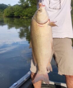 Chill-N-Reel Fishing Can Cooler (from Shark Tank) | Hard Shell Drink Holder with Hand Line Reel Attached | Fits Any Standard Insulator Sleeve or Coozie | Unique Fun Fishing Gift Camo 30 71RITd6otIL