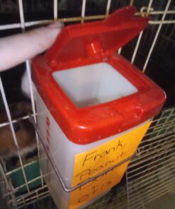 RentACoop 32oz(1L) Drinker Plus 2 Versatile Nipples - Suitable for Chicks, Quail, Pigeons, Doves, and Other Smaller Birds - 1 Pack Pack of 1 26 71RJ4OGUwL