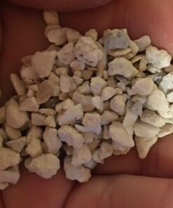 Manna Pro Crushed Oyster Shell Calcium Supplement For Laying Chickens - Poultry Treat - 5 lbs. 5 Pound (Pack of 1) 42 71RMa fNyYL