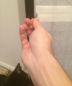 Sticky Paws Pioneer Pet Roll (32.8 feet) Roll (32.8 ft) 40 71RN7bkusSL