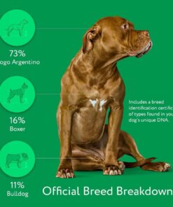 Dna My Dog Essential Test –Breed ID Test Mixed Breed Identification, Personality Traits, for Puppies to Adult Dogs, Non-Invasive Cheek Swab 26 71RNP5b7MWL