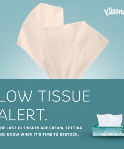 Kleenex Professional Facial Tissue for Business (21400), Flat Tissue Boxes, 36 Boxes / Case, 100 Tissues / Box, 3,600 Tissues / Case White 100 Count (Pack of 36) 31 71RNVeof5JL