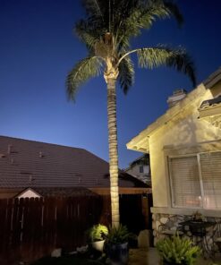 InnoGear Solar Lights for Outside, Solar Lights Outdoor Waterproof Solar Garden Yard Spot Lights Spotlight Pathway Landscape Lighting Wall Light Auto On/Off, Pack of 4 (Warm White) Warm White 35 71RNlY68SyL