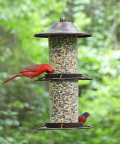 Perky-Pet 325S Panorama Bird Feeder 24 71ROjd7M6 L