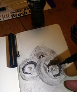 Pentel Arts Pocket Brush Pen, Includes 2 Black Ink Refills (GFKP3BPA) Pocket Brush Pen Original 33 71RPP1oqJKL