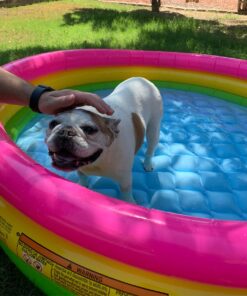 Intex Kiddie Pool - Kid's Summer Sunset Glow Design - 58" x 13" 32 71RPeiVkRL