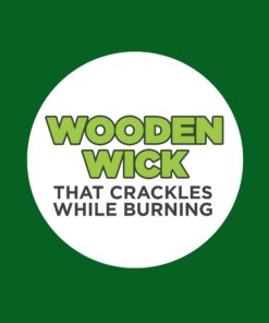 Coleman Pine Scented Citronella Candle with Wooden Crackle Wick - 6 oz Tin Pine Scent 24 71RQVqqyTJL