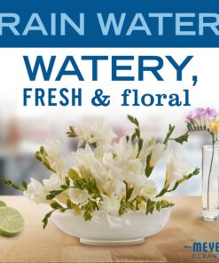 MRS. MEYER'S CLEAN DAY Liquid Hand Soap Refill, Rainwater, 33 OZ 12 71RQmhjoaYS