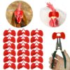 Weilan 21 PCS Pinless Peepers with Pliers Chicken Peepers Eye Glasses Pheasant Poultry Blinders Spectacles Anti-Pecking Plier Tool(Red) 21 Pcs Red Large 5 71RaTnmIRqL