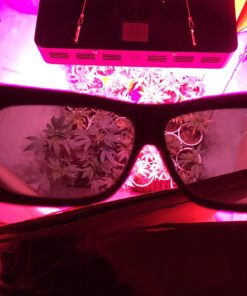 Apollo Horticulture Grow Light Glasses Goggles for Wear Fit Over Glasses for LED Grow Light Room UV400 Grow Room Safety Protective Eyewear for Intense LED Lighting Visual Eye Protection 29 71RaexJhoWL