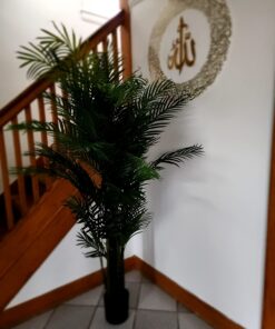 Nearly Natural 5390 Areca Palm UV Resistant Tree, 6.5-Feet, Green,85" x 9" x 9" 85" x 9" x 9" 20 71RazJlLr1L