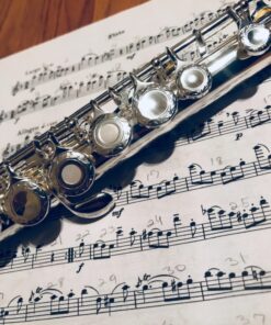 Glory HAND-ENGRAVED SILVER PLATED HIGH GRADE FLUTE 17 Hole OPEN/CLOSED C Flute With Case, Tuning Rod and Cloth and Gloves,HIGH GRADE HAND ENGRAVED 17 Open Hole Flower 28 71Rb6ZOmetL