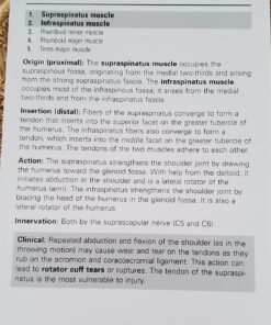 Netter's Anatomy Flash Cards (Netter Basic Science) 32 71RbYjGjDL