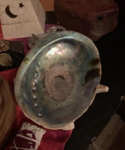 New Age Smudges & Herbs® 5 - 6 inches Premium Natural Abalone Shell &Wooden Stand~ Smudging, Cleansing Home, Meditation, Incense Holder, Home Décor, 100% Natural & Sustainable. 36 71RbwoLwi1L 2