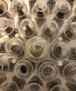 Ateco Cake, 783 55 pc Decorating Tip Set, Silver #783 55 pc Decorating Tip Set 32 71Rc2PcagjL