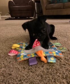 Taggies Crinkle Me Toy, Elephant 18 71RcfC64HLL