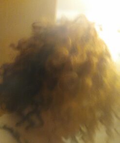 Hair Growth Conditioner - Hair Loss Conditioner For Thinning Hair - Sulfate Free Prevention Formula Against Hair Loss, Alopecia & Receding Hairline with Argan Oil - by Amplixin 36 71Rd10rAk2L