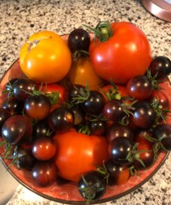 First Saturday Lime for Insects 20lb 35 71ReE6yBrL