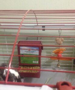 Kaytee Gravity Bin Feeder With Bracket Assorted 28 71RftoHfXuL