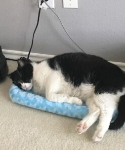 MidWest Homes for Pets Bolster Dog Bed 22L-Inch Blue Dog Bed or Cat Bed w/ Comfortable Bolster | Ideal for XS Dog Breeds & Fits a 22-Inch Dog Crate | Easy Maintenance Machine Wash & Dry 29 71Rg5csu3CL