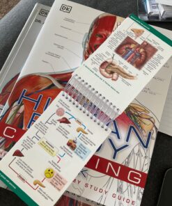 Pocket Anatomy & Physiology Spiral-bound 12 71RhEWyKqeL