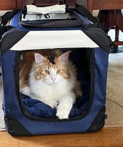 PetLuv-Happy Cat Premium Cat Carrier Soft Sided Foldable Top & Side Loading Pet Crate & Carrier Locking Zippers Shoulder Straps Seat Belt Lock Plush Pillow 24.0"L x 16.0"W x 16.0"H Navy Blue 43 71RheLRgGcL